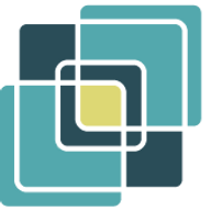 Down Syndrome Innovations logo
