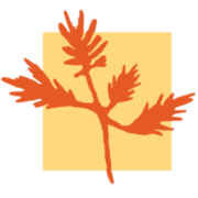The Cedars