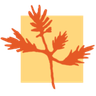 The Cedars