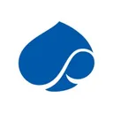 Capgemini SE logo