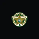 Clay County Sheriff's Office logo