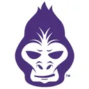 Paragon 28, Inc. logo