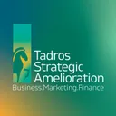 Strategic Amelioration LLC