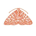 The Moth logo
