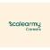 Scale Army Careers