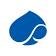 Capgemini