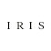 IRIS, Le Groupe Visuel