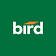 Bird Construction
