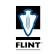 FLINT Corp. logo