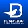 Blackbird Tech Solutions logo