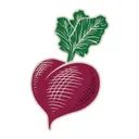 Choices Market Ltd