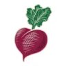 Choices Market Ltd