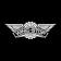 Wingstop logo
