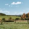 Community Harvest of Central Vermont