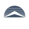 Apex Systems, Inc.