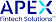 Apex Fintech Solutions