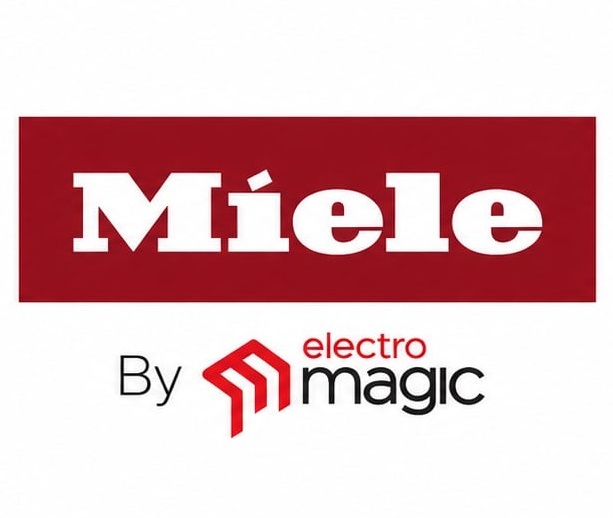 Electromagic logo