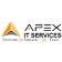 Apex IT Services LLC logo